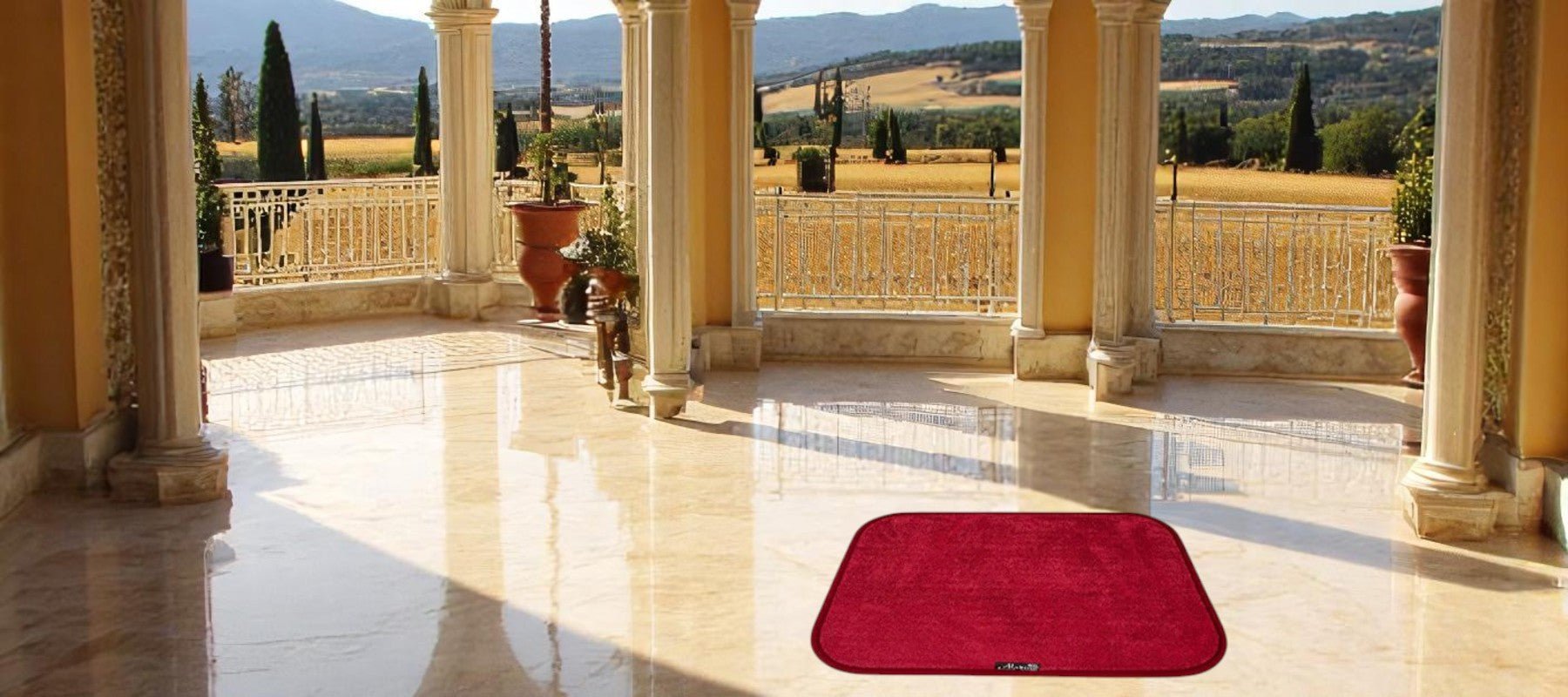 Le-Saviez-vous Aladino il tappeto Magico
