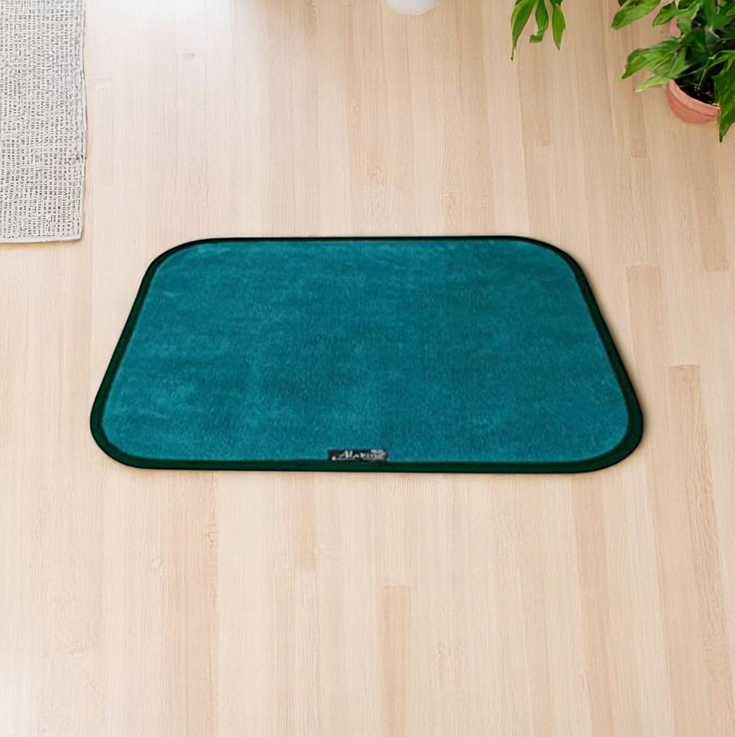 Tapis Ultra Absorbant Turqoise Aladino il tappeto Magico