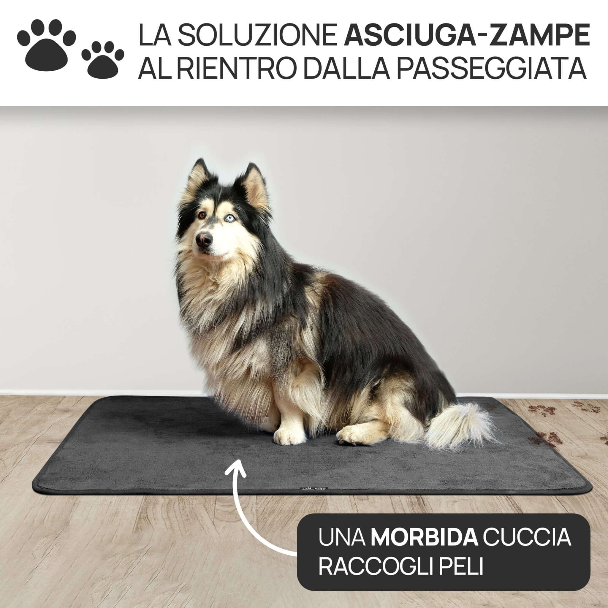 Aladino il tappeto Magico l’Originale Zerbino Ingresso Super Assorbente Aladino il tappeto Magico