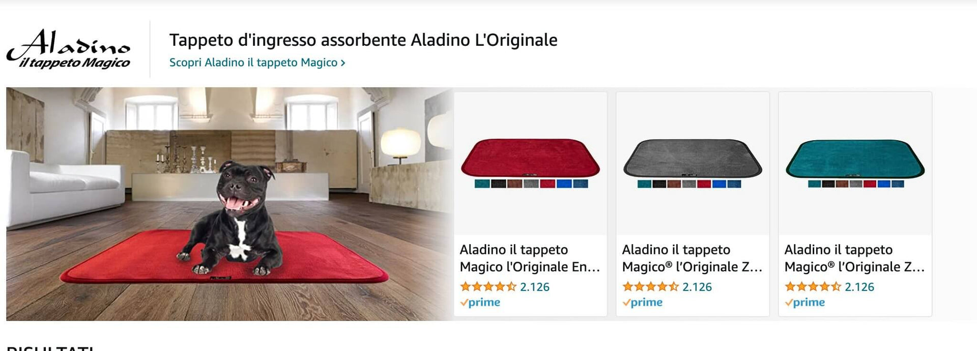 Aladino il Tappeto Magico - Best Seller in Italia e Francia