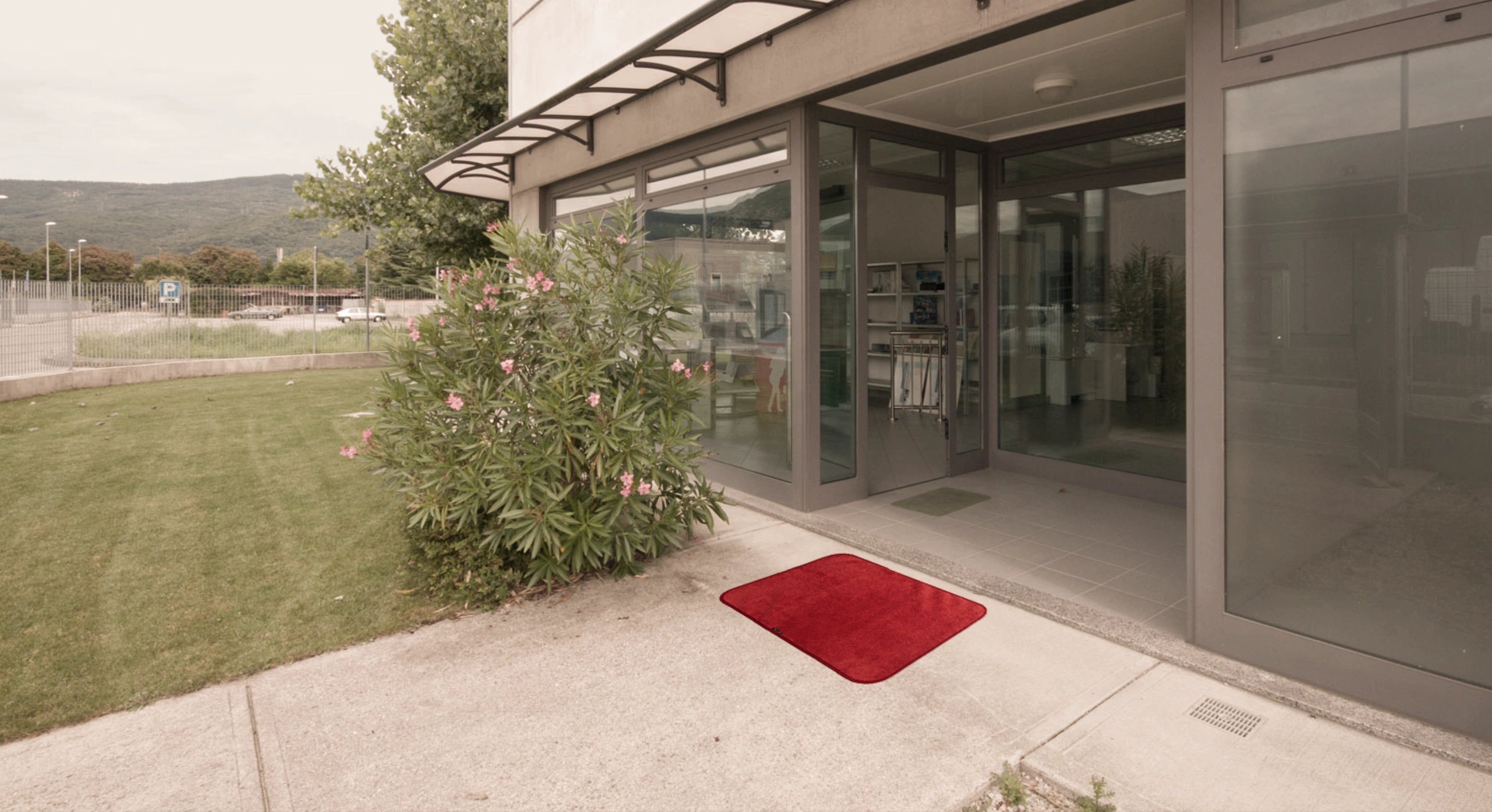 Mobile image