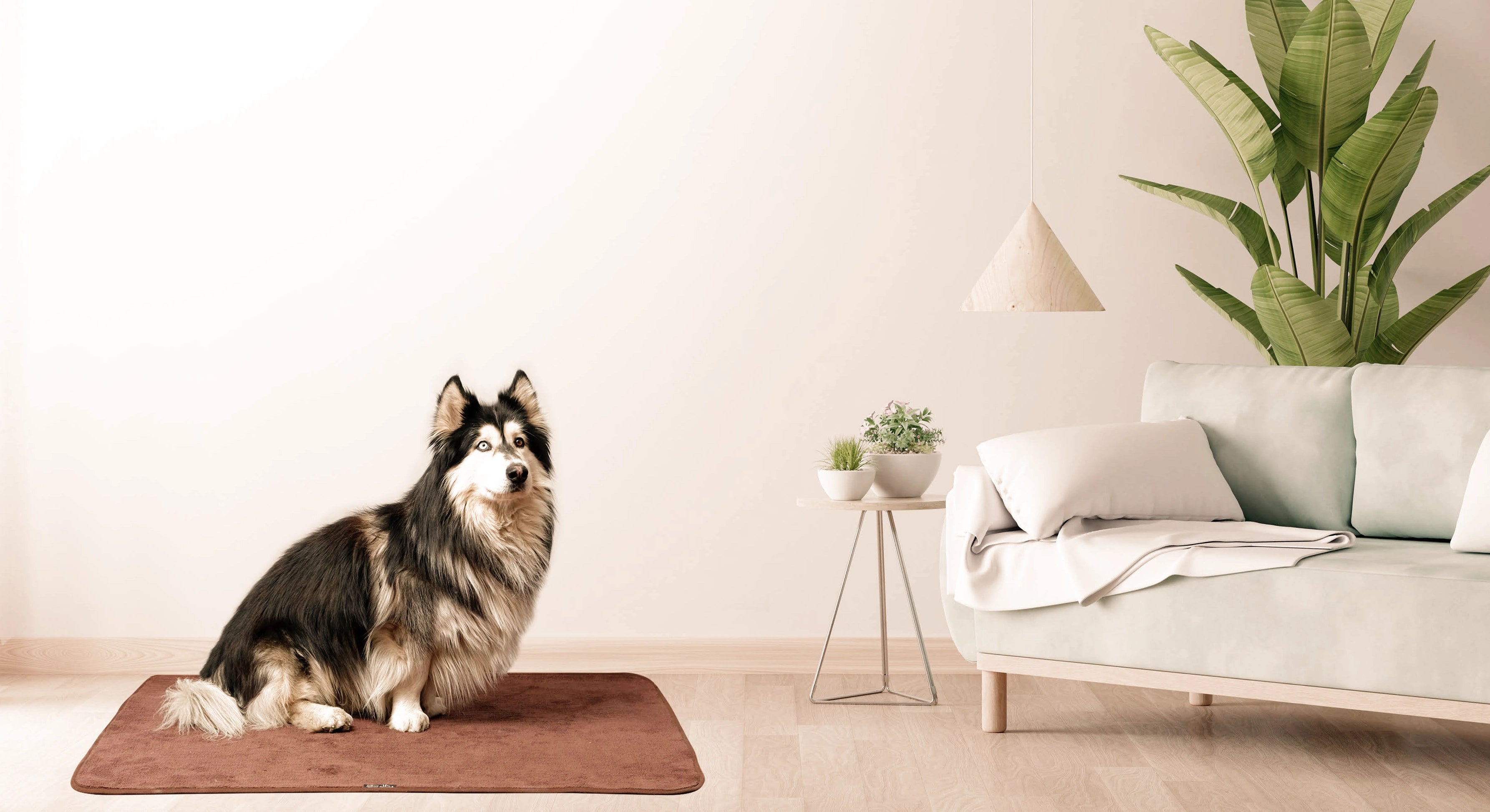 Le Meilleur Ami de Vos Animaux (<em>et de Vos Sols !</em>